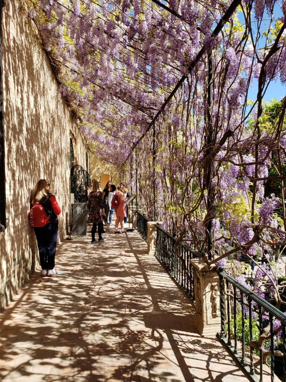 Apartamento Jardin De Santa Paula セビリア エクステリア 写真